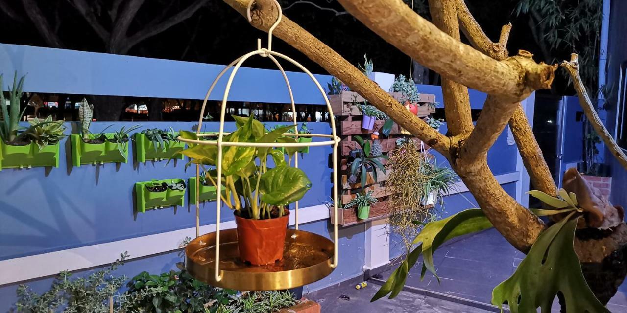 OneRiimba Private Pool&Garden Residence Johor Bahru Exterior foto